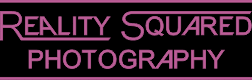 Reality Squared Services